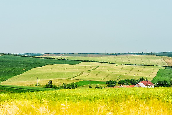 포토 JPG 주간 나무 해외풍경 해외 유럽 여행 자연 주택 풍경 초원 사람없음 야외 체코 모라비아 국내포토 자연요소 식물 나라 건물 생태계 파일형식