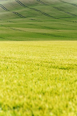 포토 JPG 주간 해외풍경 해외 유럽 여행 자연 풍경 초원 사람없음 야외 체코 모라비아 국내포토 자연요소 나라 생태계 파일형식