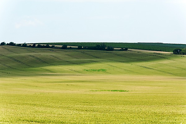 포토 JPG 주간 해외풍경 해외 유럽 여행 자연 풍경 초원 사람없음 야외 체코 모라비아 국내포토 자연요소 나라 생태계 파일형식
