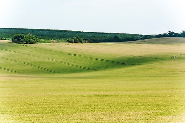 포토 JPG 주간 해외풍경 해외 유럽 여행 자연 풍경 초원 사람없음 야외 체코 모라비아 국내포토 자연요소 나라 생태계 파일형식