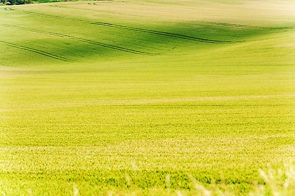 포토 JPG 주간 해외풍경 해외 유럽 여행 자연 풍경 초원 사람없음 야외 체코 모라비아 국내포토 자연요소 나라 생태계 파일형식