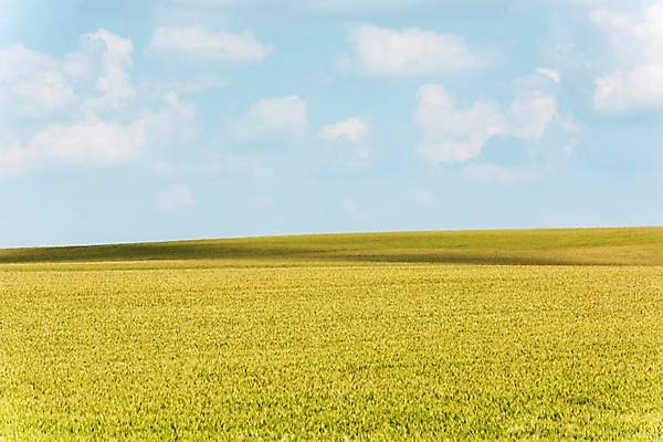 포토 JPG 주간 구름 해외풍경 해외 유럽 여행 자연 하늘 풍경 초원 사람없음 야외 맑음 체코 모라비아 국내포토 자연요소 나라 날씨 생태계 파일형식