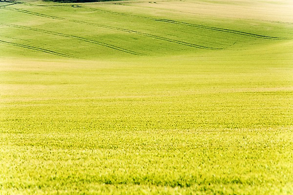 포토 JPG 주간 해외풍경 해외 유럽 여행 자연 풍경 초원 사람없음 야외 체코 모라비아 국내포토 자연요소 나라 생태계 파일형식