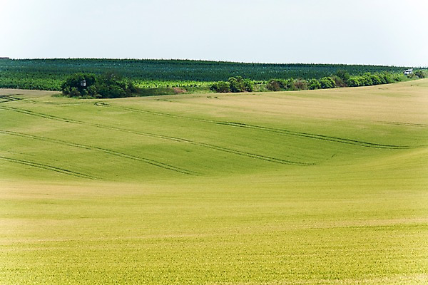 포토 JPG 주간 해외풍경 해외 유럽 여행 자연 풍경 초원 사람없음 야외 체코 모라비아 국내포토 자연요소 나라 생태계 파일형식
