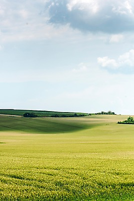 포토 JPG 주간 구름 해외풍경 해외 유럽 여행 자연 하늘 풍경 초원 사람없음 야외 맑음 체코 모라비아 국내포토 자연요소 나라 날씨 생태계 파일형식