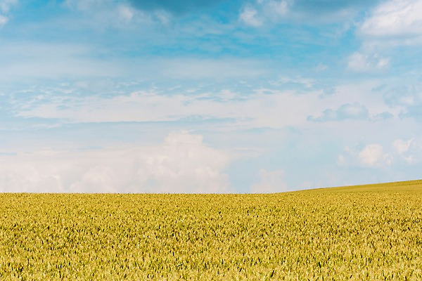포토 JPG 주간 구름 해외풍경 해외 유럽 여행 자연 하늘 풍경 초원 사람없음 야외 맑음 체코 모라비아 국내포토 자연요소 나라 날씨 생태계 파일형식