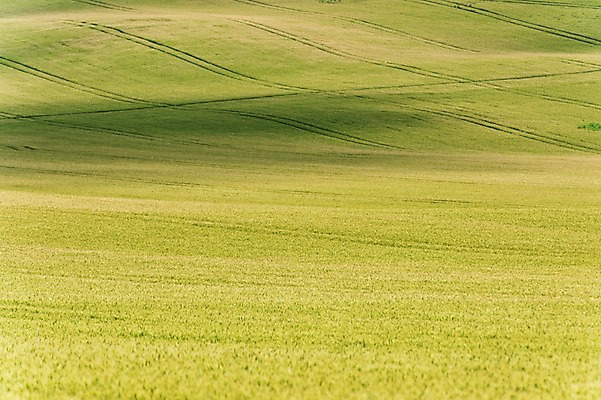 포토 JPG 주간 해외풍경 해외 유럽 여행 자연 풍경 초원 사람없음 야외 체코 모라비아 국내포토 자연요소 나라 생태계 파일형식