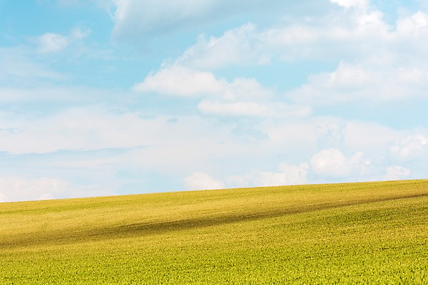 포토 JPG 주간 구름 해외풍경 해외 유럽 여행 자연 하늘 풍경 초원 사람없음 야외 맑음 체코 모라비아 국내포토 자연요소 나라 날씨 생태계 파일형식