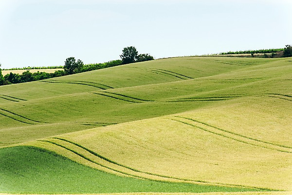 포토 JPG 주간 나무 해외풍경 해외 유럽 여행 자연 풍경 초원 사람없음 야외 체코 모라비아 국내포토 자연요소 식물 나라 생태계 파일형식