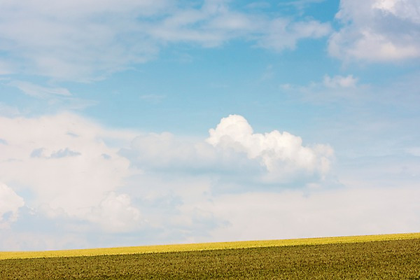 포토 JPG 주간 구름 해외풍경 해외 유럽 여행 자연 하늘 풍경 초원 사람없음 야외 맑음 체코 모라비아 국내포토 자연요소 나라 날씨 생태계 파일형식