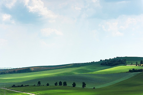 포토 JPG 주간 나무 구름 해외풍경 해외 유럽 여행 자연 하늘 풍경 초원 사람없음 야외 맑음 체코 모라비아 국내포토 자연요소 식물 나라 날씨 생태계 파일형식