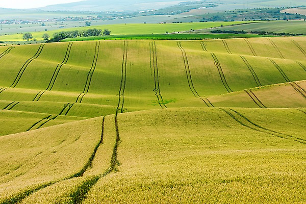 포토 JPG 주간 해외풍경 해외 유럽 여행 자연 풍경 초원 사람없음 야외 체코 모라비아 국내포토 자연요소 나라 생태계 파일형식