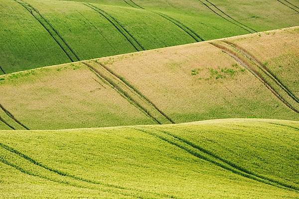 포토 JPG 주간 해외풍경 해외 유럽 여행 자연 풍경 초원 사람없음 야외 체코 모라비아 국내포토 자연요소 나라 생태계 파일형식