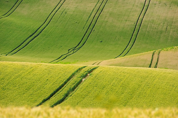 포토 JPG 주간 해외풍경 해외 유럽 여행 자연 풍경 초원 사람없음 야외 체코 모라비아 국내포토 자연요소 나라 생태계 파일형식