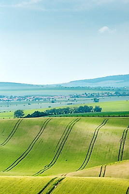 포토 JPG 주간 나무 구름 해외풍경 해외 유럽 여행 자연 하늘 주택 풍경 초원 사람없음 야외 맑음 체코 모라비아 국내포토 자연요소 식물 나라 날씨 건물 생태계 파일형식