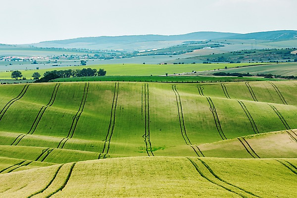 포토 JPG 주간 나무 해외풍경 해외 유럽 여행 자연 풍경 초원 사람없음 야외 체코 모라비아 국내포토 자연요소 식물 나라 생태계 파일형식