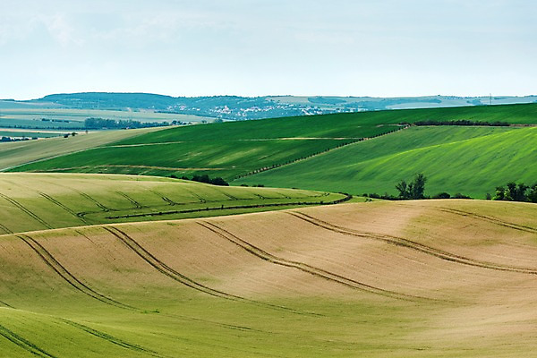 포토 JPG 주간 해외풍경 해외 유럽 여행 자연 풍경 초원 사람없음 야외 체코 모라비아 국내포토 자연요소 나라 생태계 파일형식