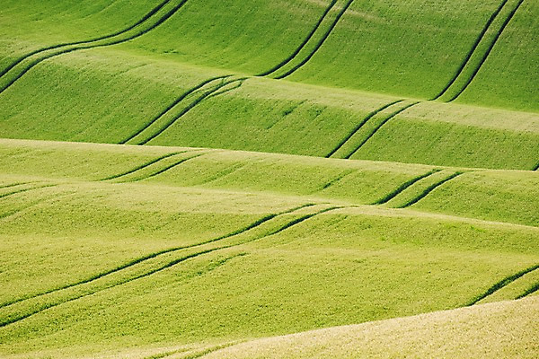 포토 JPG 주간 해외풍경 해외 유럽 여행 자연 풍경 초원 사람없음 야외 체코 모라비아 국내포토 자연요소 나라 생태계 파일형식