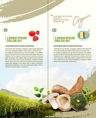 PSD 구름 템플릿 표지디자인 북디자인 출판디자인 내지 리플렛 토마토 채소 2단접지 북커버 식재료 하늘 붓터치 여름음식 안전 팜플렛 초원 사람없음 농작물 숟가락 버섯 다양 레몬 들풀 유기농 고구마 번짐 포도알 단호박 먹거리 화채 제철음식 이미지템플릿 자연요소 웰빙 음식 다수 농업 과일 호박 포도 뿌리채소 수저 여름간식 제철 파일형식 효과 여름_계절