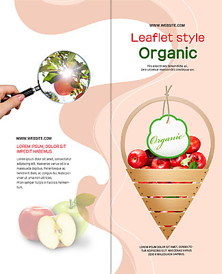 PSD 템플릿 표지디자인 북디자인 손 출판디자인 여자 표지 리플렛 2단접지 북커버 과일 돋보기 한손 한명 안전 사람 팜플렛 성인 신체부위 햇빛 바구니 여러개 사과 가득함 유기농 사과나무 먹거리 사과반쪽 이미지템플릿 나무 1 웰빙 음식 다수 태양 파일형식