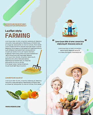 PSD 템플릿 표지디자인 북디자인 응시 출판디자인 여자 할아버지 노년 남자 내지 할머니 리플렛 채소 2단접지 북커버 오이 감자 파프리카 미소 들기 사람 팜플렛 상반신 세명 농작물 바구니 농사 노부부 당근 다양 한국인 수확 볏짚 60대 농부 브로콜리 유기농 완두콩 귀농 70대 곡괭이 노인만 쌈배추 이미지템플릿 직업 웰빙 부부 시선 다수 농업 모션 콩 뿌리채소 표정 동양인 성인 짚 배추 성인만 파일형식