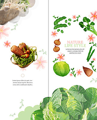 PSD 템플릿 표지디자인 북디자인 출판디자인 표지 꽃 리플렛 채소 2단접지 북커버 식재료 나뭇잎 콩 팜플렛 사람없음 농작물 바구니 당근 다양 배추 유기농 담기 양배추 콩깍지 냉이 이미지템플릿 식물 웰빙 다수 잎 농업 모션 곡류 뿌리채소 파일형식