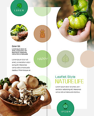 PSD 템플릿 표지디자인 북디자인 손 출판디자인 내지 리플렛 토마토 채소 2단접지 북커버 식재료 한손 사람 팜플렛 성인 두명 신체부위 농작물 수확 물방울 팽이버섯 느타리버섯 송이버섯 따기 뽑기 새송이버섯 이미지템플릿 농업 버섯 파일형식