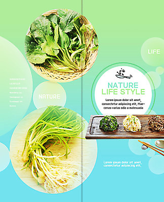 PSD 템플릿 라이프스타일 표지디자인 북디자인 출판디자인 표지 한식 리플렛 채소 2단접지 북커버 식재료 젓가락 반찬 팜플렛 사람없음 바구니 유기농 나물 콩나물 식단 고사리 나무접시 냉이 시금치나물 자연친화 이미지템플릿 접시 웰빙 음식 자연 수저 생활 파일형식