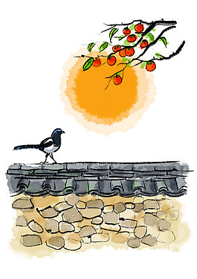 PSD 한마리 일러스트 캘리그라피 붓터치 사람없음 담장 추석 보름달 가을 감나무 번짐 까치 기와담장 국내일러스트 나무 1 계절 명절 조류 기와 감 달 파일형식 효과