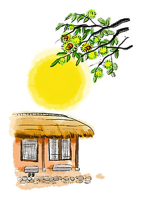 PSD 신발 일러스트 캘리그라피 붓터치 초가집 사람없음 추석 보름달 가을 한켤레 번짐 밤나무 국내일러스트 나무 1 계절 명절 한옥 달 밤_견과류 파일형식 효과