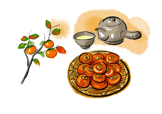 PSD 일러스트 캘리그라피 붓터치 감 사람없음 바구니 추석 감나무 번짐 곶감 동동주 술주전자 국내일러스트 나무 명절 과일 건과일 파일형식 효과