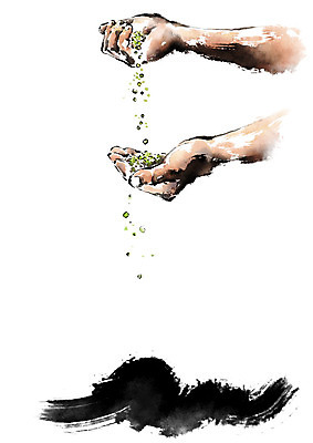 PSD 손 남자 일러스트 캘리그라피 붓터치 씨앗 한명 사람 성인 신체부위 농경지 농부 담기 번짐 흘림 국내일러스트 식물 직업 1 모션 농장 파일형식 효과