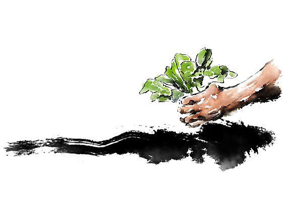 PSD 손 남자 밭 채소 일러스트 캘리그라피 붓터치 한명 사람 성인 신체부위 농작물 흙 수확 농부 번짐 뽑기 국내일러스트 직업 1 농업 파일형식 효과