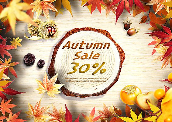 PSD 편집이미지 단풍 사람없음 쇼핑 세일 가을 밤송이 도토리 솔방울 나이테 나무밑둥 단감 이미지편집 나무 계절 잎 감 견과류 밤_견과류 파일형식