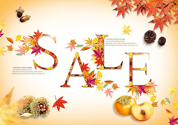 PSD 편집이미지 단풍 사람없음 쇼핑 세일 가을 밤송이 은행잎 도토리 솔방울 단감 흩날리기 이미지편집 계절 잎 모션 감 견과류 밤_견과류 파일형식