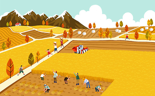 전신 PSD 여자 남자 어린이 일러스트 단풍나무 주택 논 사람 여러명 성인 달리기 손들기 농사 수확 추수 벼 가을 농촌 시골 운반 트랙터 벼농사 낫 벼베기 새참 가을축제 국내일러스트 나무 계절 다수 단풍 농업 모션 곡류 건물 축제 농기계 특수차량 파일형식 가을_계절