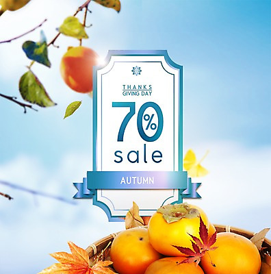 PSD 편집이미지 한국전통 명절 단풍 낙엽 하늘 사람없음 세일 바구니 추석 여러개 가을 나뭇가지 감나무 은행잎 단감 이미지편집 나무 전통 계절 기념일 다수 잎 한국 감 파일형식