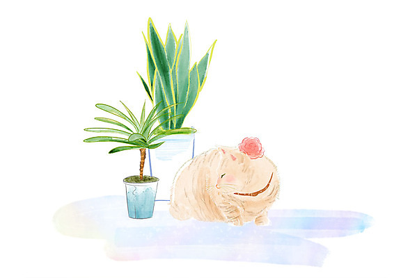 PSD 한마리 응시 화분 일러스트 수채화 풍경 사람없음 일상 반려동물 고양이 두개 오브젝트 감성 반려 국내일러스트 동물 1 시선 컨셉 2 포유류 라이프 파일형식