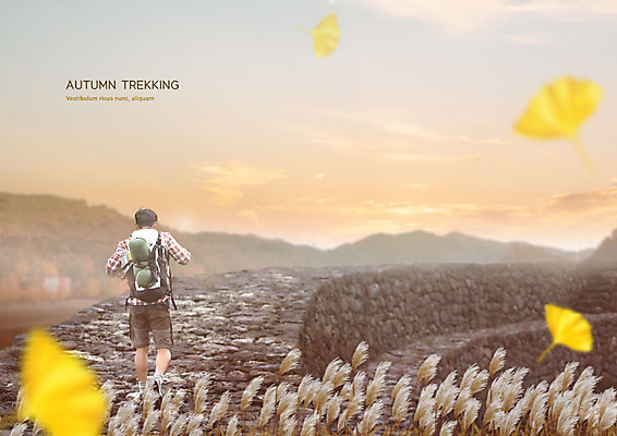 전신 PSD 구름 편집이미지 남자 배낭 하늘 산 갈대 한명 사람 20대 성인 뒷모습 강 걷기 트래킹 한국인 가을 은행잎 갈대밭 돌길 성인남자한명만 이미지편집 자연요소 식물 1 계절 길 뷰포인트 잎 가방 모션 레저 동양인 청년 남자한명만 성인남자만 파일형식 갈대_식물