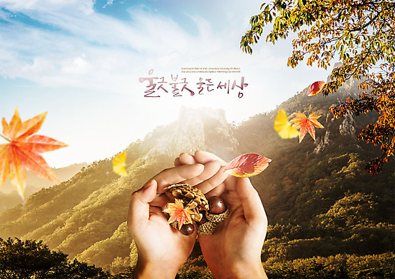 PSD 구름 편집이미지 단풍 낙엽 하늘 산 사람 성인 신체부위 트래킹 양손 가을 나뭇가지 숲 도토리 솔방울 흩날리기 이미지편집 자연요소 나무 손 계절 잎 모션 레저 견과류 파일형식