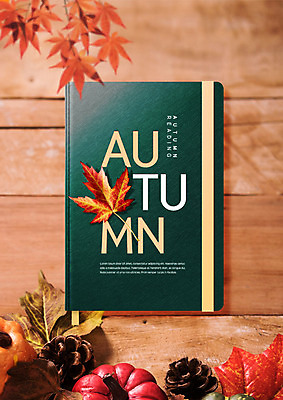 PSD 편집이미지 단풍 낙엽 호박 사람없음 목재 나뭇결 책 독서 다이어리 가을 나뭇가지 마루 한권 솔방울 이미지편집 나무 1 계절 잎 채소 재료 바닥 사무용품 파일형식