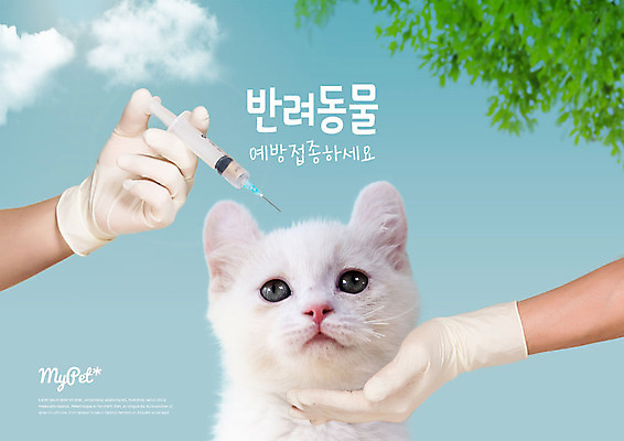 PSD 편집이미지 한마리 손 한손 주사기 사람 성인 두명 신체부위 반려동물 고양이 수술장갑 반려 예방접종 이미지편집 동물 1 장갑 포유류 의료기기 접종 파일형식