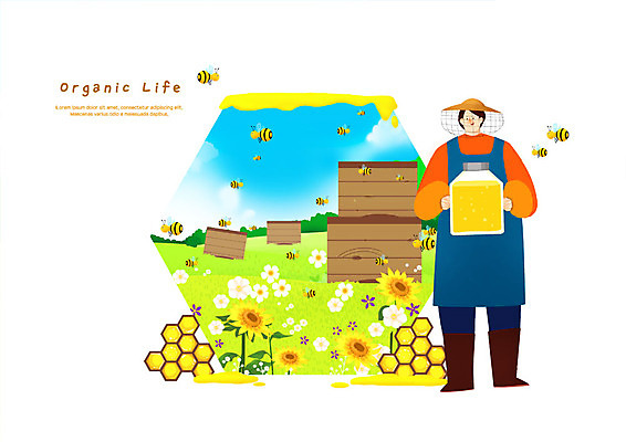 전신 PSD 모자 남자 꽃 여러마리 일러스트 해바라기 한명 미소 들기 사람 초원 성인 꿀벌 유기농 꿀 벌집 꿀단지 양봉 양봉업 국내일러스트 식물 1 웰빙 잡화 다수 모션 표정 벌_곤충 파일형식