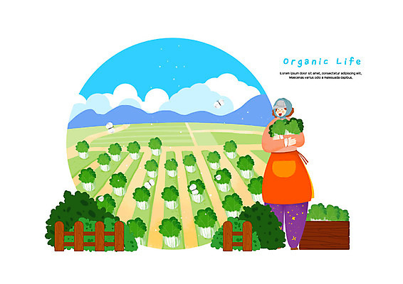 전신 PSD 구름 모자 여자 나비 두마리 일러스트 하늘 한명 미소 들기 사람 성인 농작물 울타리 농사 앞치마 수확 농촌 농부 배추 유기농 배추밭 밭농사 로컬푸드 국내일러스트 자연요소 직업 1 웰빙 잡화 곤충 2 밭 농업 채소 모션 표정 농산물 담장 시골 파일형식