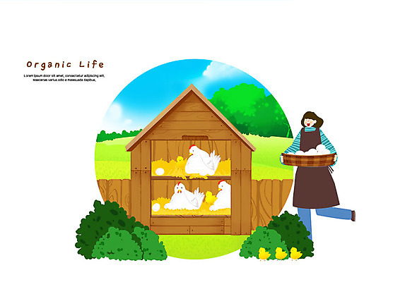 전신 PSD 여자 여러마리 일러스트 병아리 한명 미소 사람 초원 성인 농장 바구니 계란 앞치마 농촌 시골 닭 즐거움 유기농 닭장 양계장 국내일러스트 1 웰빙 감정 다수 농업 조류 표정 알 파일형식