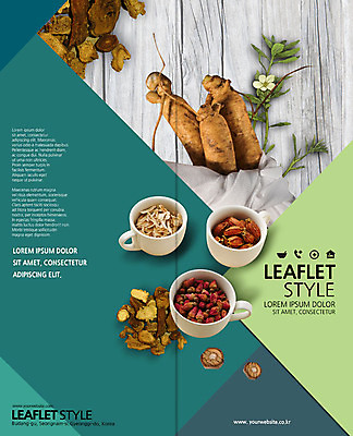 PSD 템플릿 표지디자인 북디자인 출판디자인 표지 꽃 리플렛 2단접지 북커버 팜플렛 사람없음 초록색 회색 다양 한의학 한약재 찻잔 한약 나무바닥 도라지 치자 이미지템플릿 식물 컬러 다수 의학 잔 바닥 약 약재 파일형식