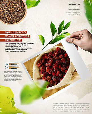 PSD 템플릿 표지디자인 북디자인 손 출판디자인 내지 리플렛 2단접지 북커버 붓터치 나뭇잎 한손 한명 사람 팜플렛 성인 신체부위 하이앵글 갈색 바구니 나뭇가지 잡기 가득함 한지 기념사진 복분자 오미자 이미지템플릿 나무 1 종이 뷰포인트 컬러 잎 과일 모션 파일형식