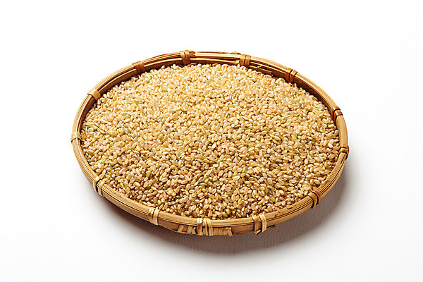 포토 JPG 스튜디오촬영 곡류 실내 사람없음 바구니 추수 가을 가득함 흰배경 유기농 현미 국내포토 웰빙 계절 백그라운드 농업 내부 흰색 파일형식