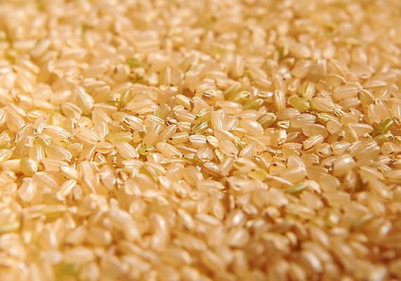 포토 JPG 스튜디오촬영 곡류 실내 근접촬영 사람없음 추수 현미 국내포토 뷰포인트 농업 내부 파일형식