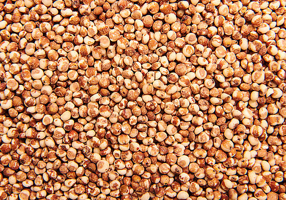 포토 JPG 스튜디오촬영 곡류 실내 근접촬영 사람없음 추수 잡곡 수수 국내포토 뷰포인트 농업 내부 파일형식